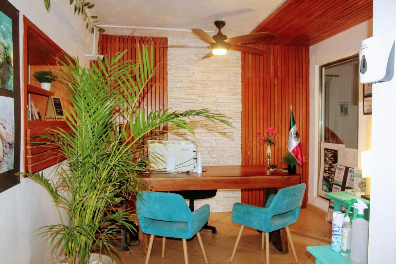 Hostal & Suites Pata De Perro Bacalar Extérieur photo