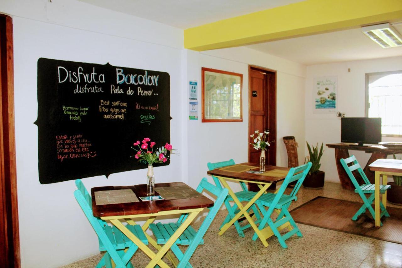 Hostal & Suites Pata De Perro Bacalar Extérieur photo