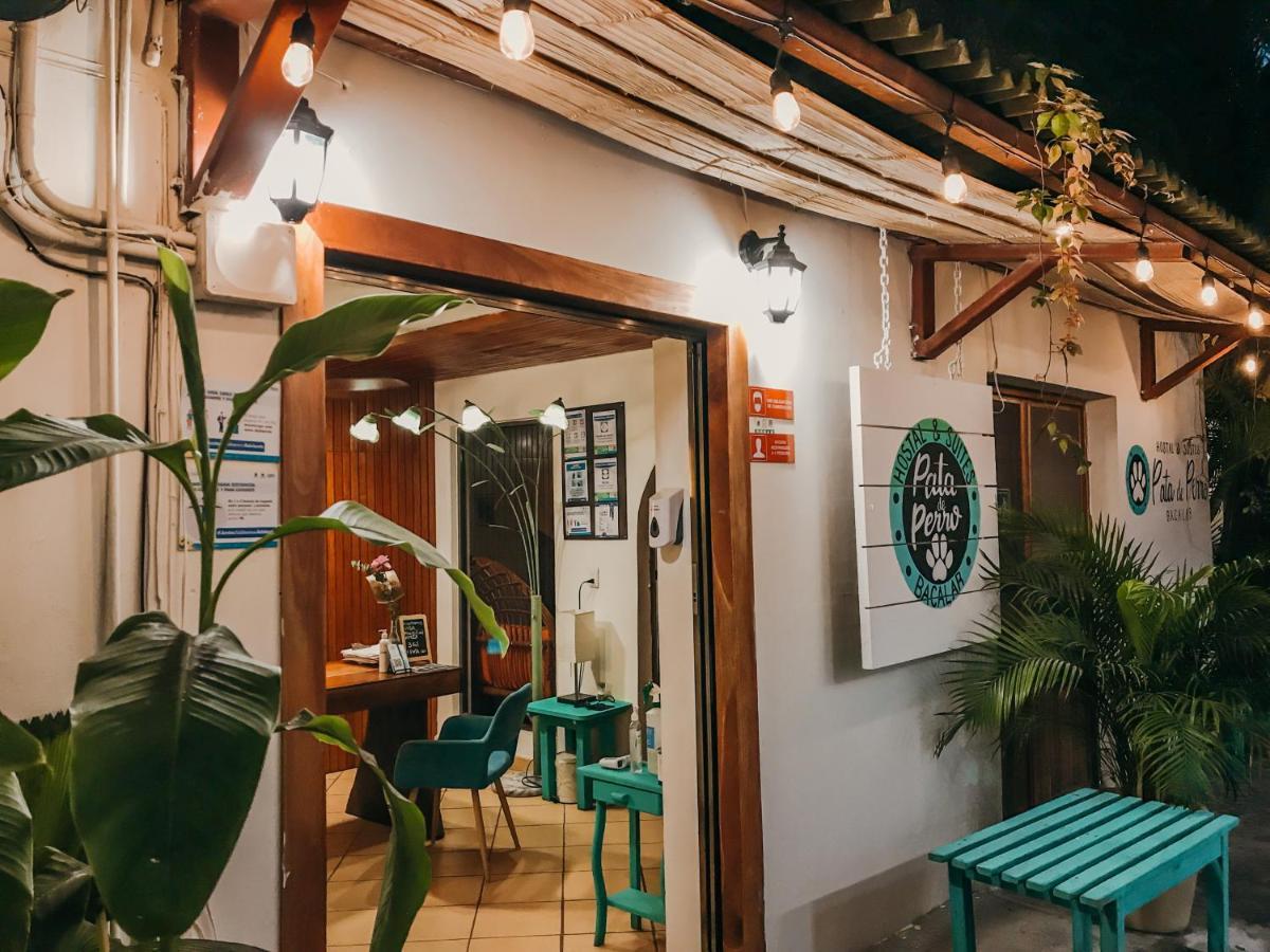 Hostal & Suites Pata De Perro Bacalar Extérieur photo